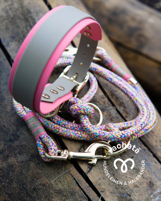 Tauleine und Biothane-Halsband in grün-pink Tönen.