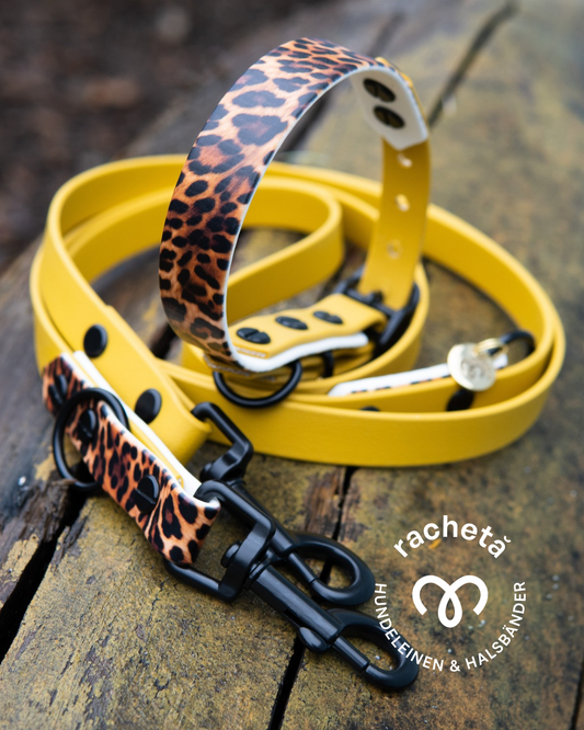 Racheta Leine und Halsband in Senfgelb und Leo-Biothane auf einem Baumstamm. Set Mr. Fox