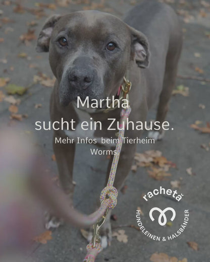 Set "Martha" aus Tau und Biothane